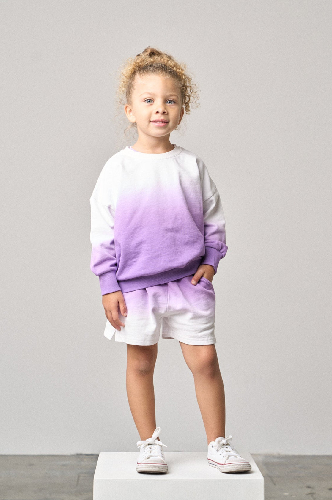 Ombre Lightweight Crewneck - Purple