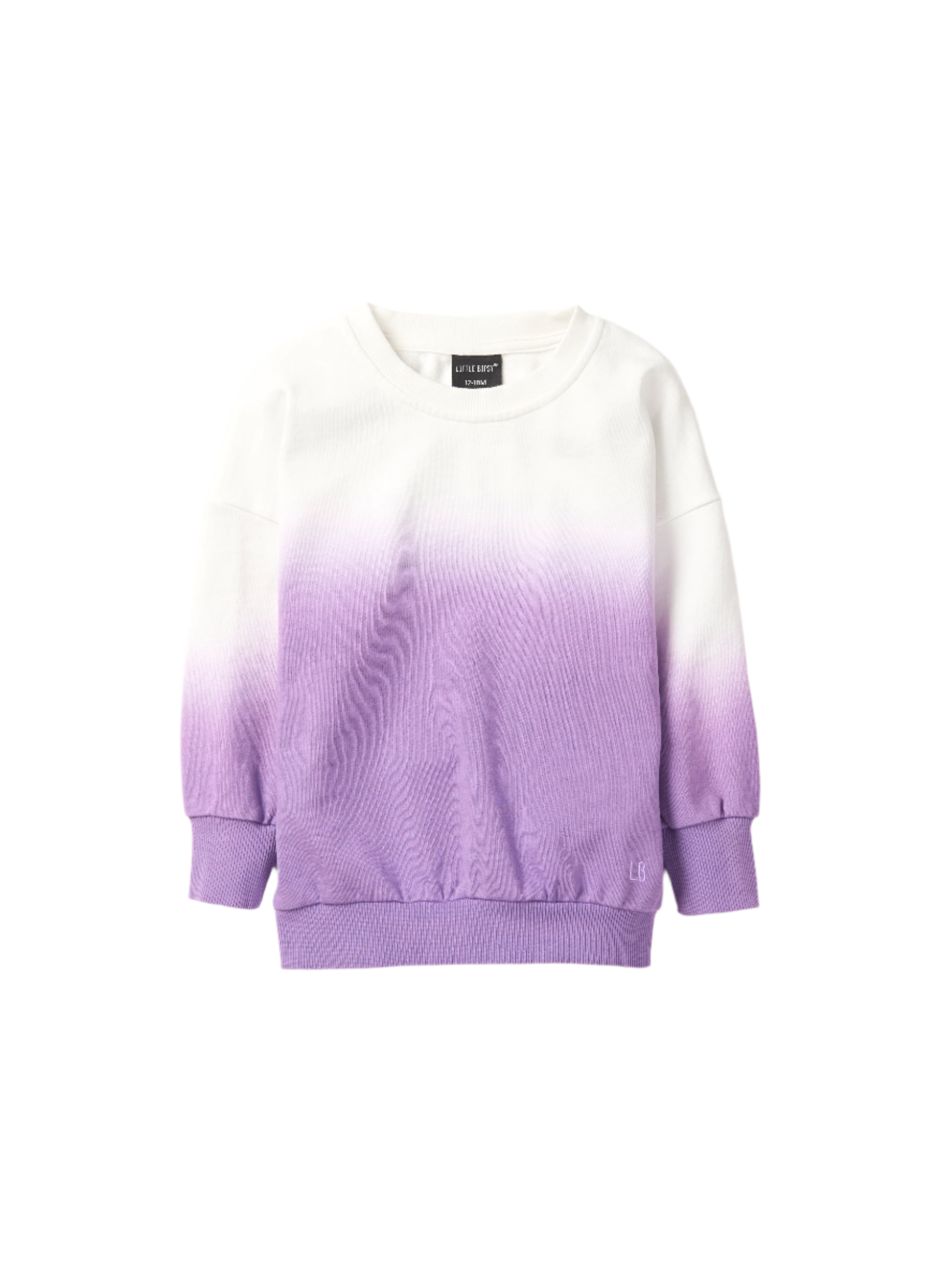Ombre Lightweight Crewneck - Purple
