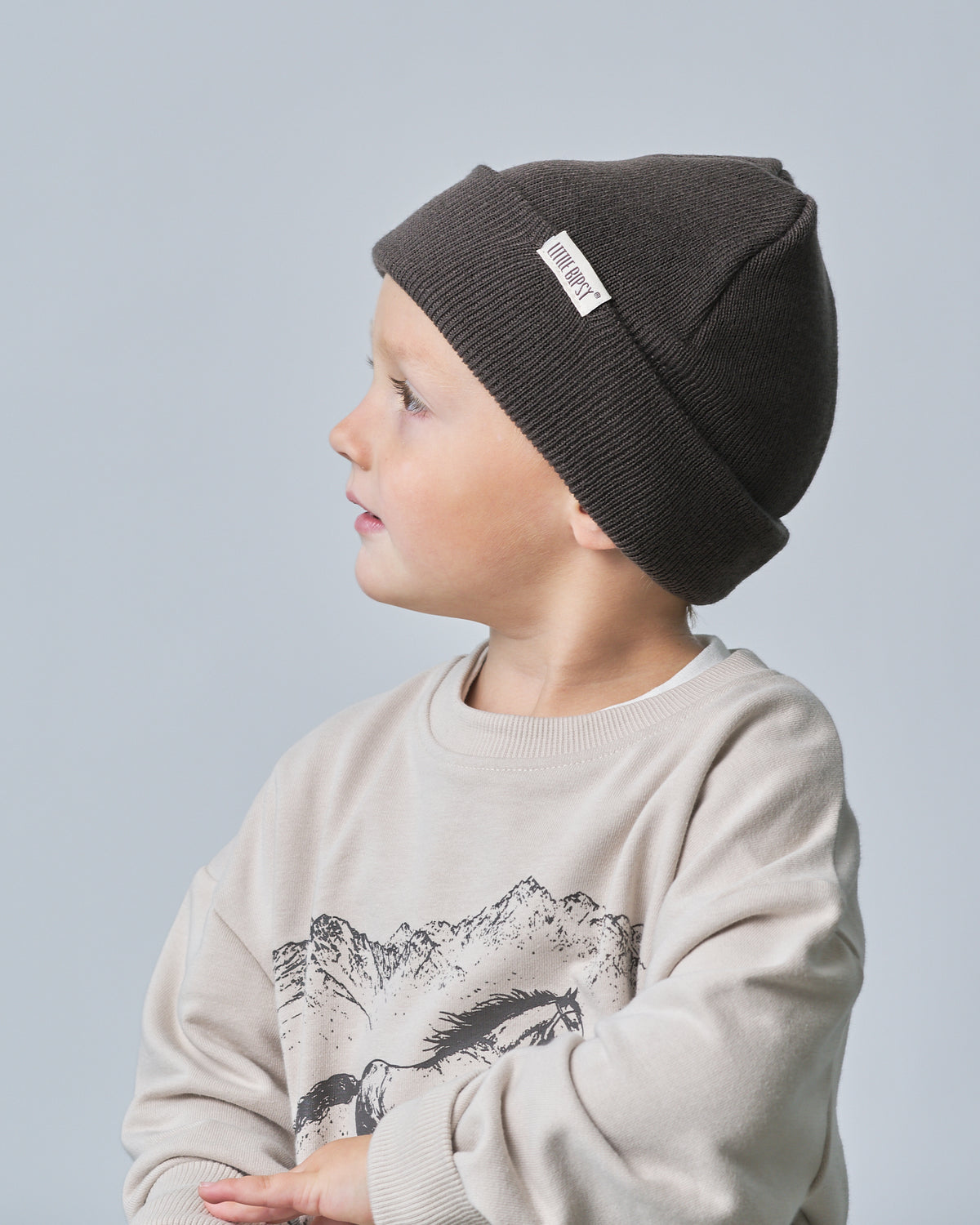 Beanie - Brown